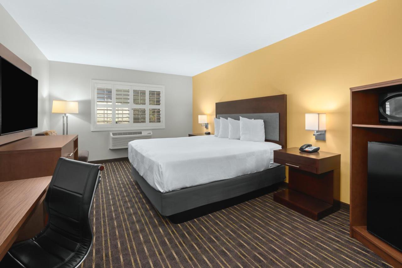 Standard King Room