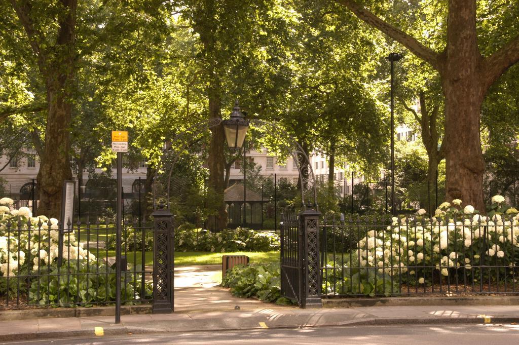 King Room Garden View
