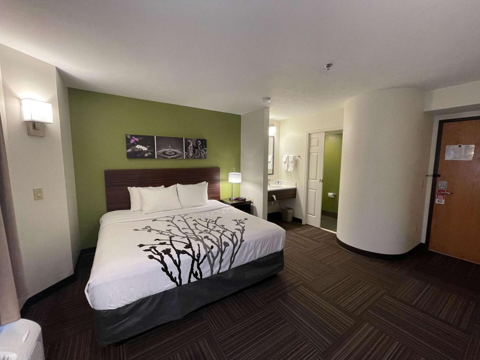 King Room - Non-Smoking