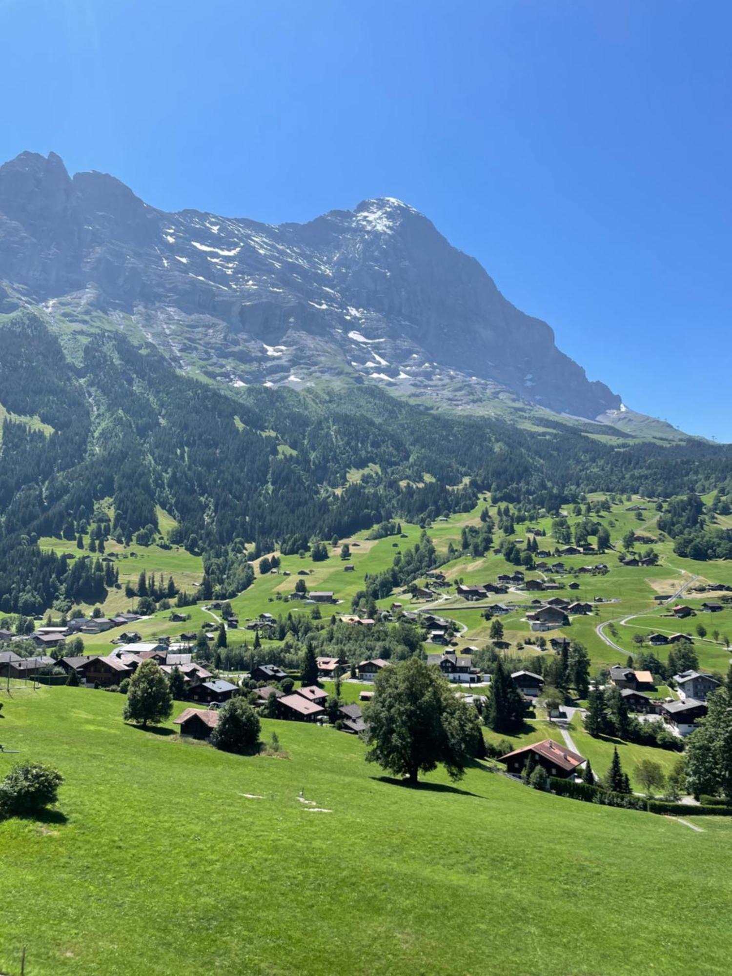 Double Room Eiger View