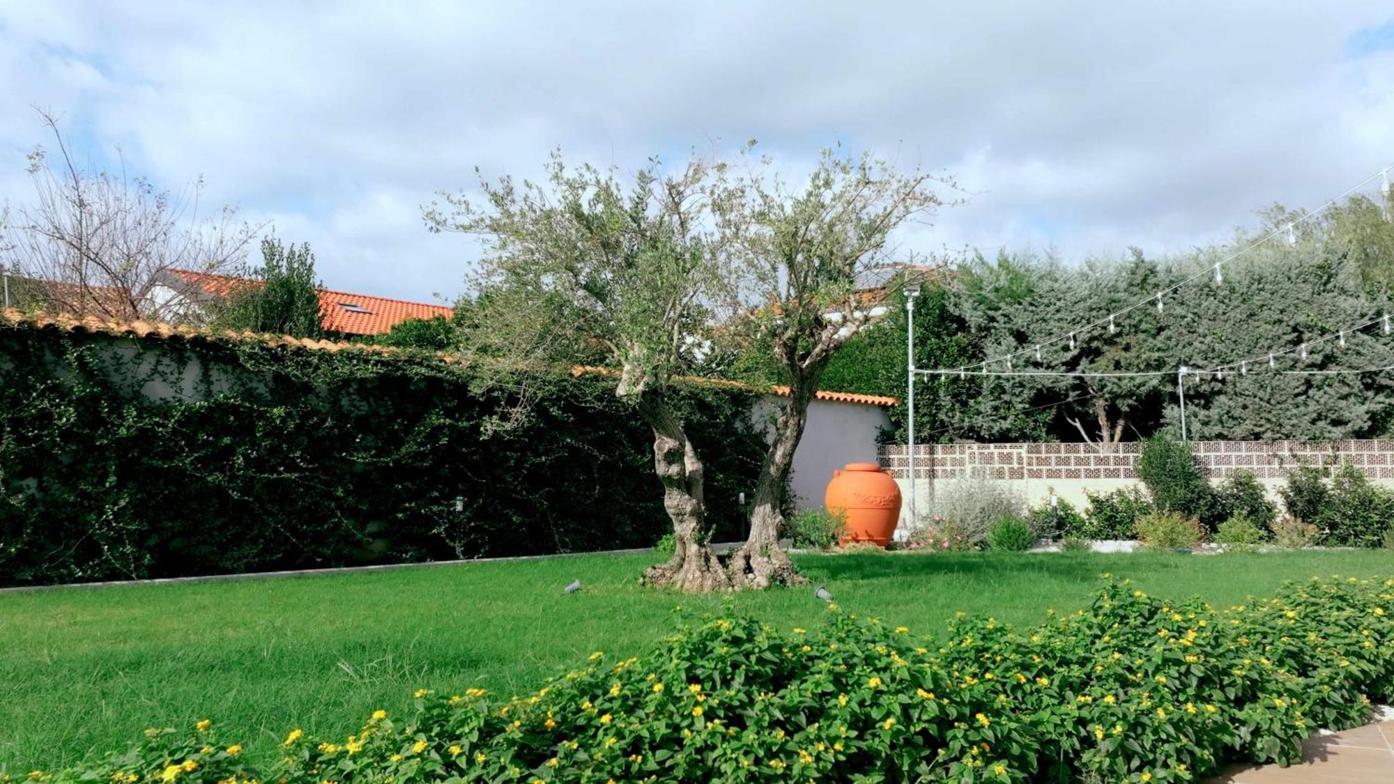 Apartment Garden View