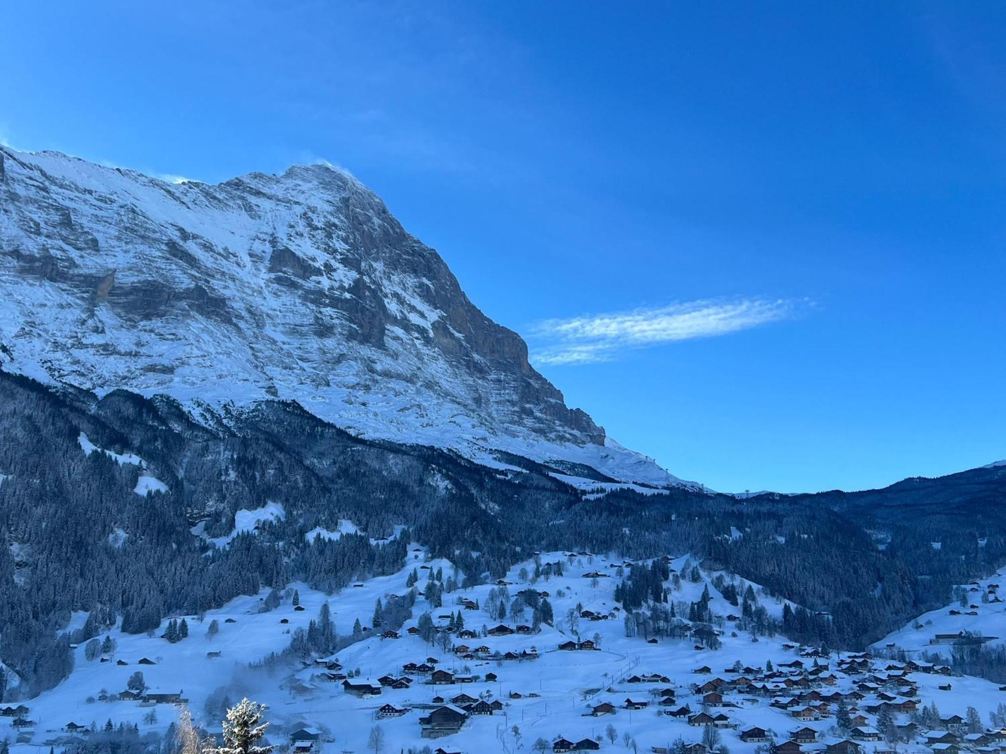 Double Room Eiger View