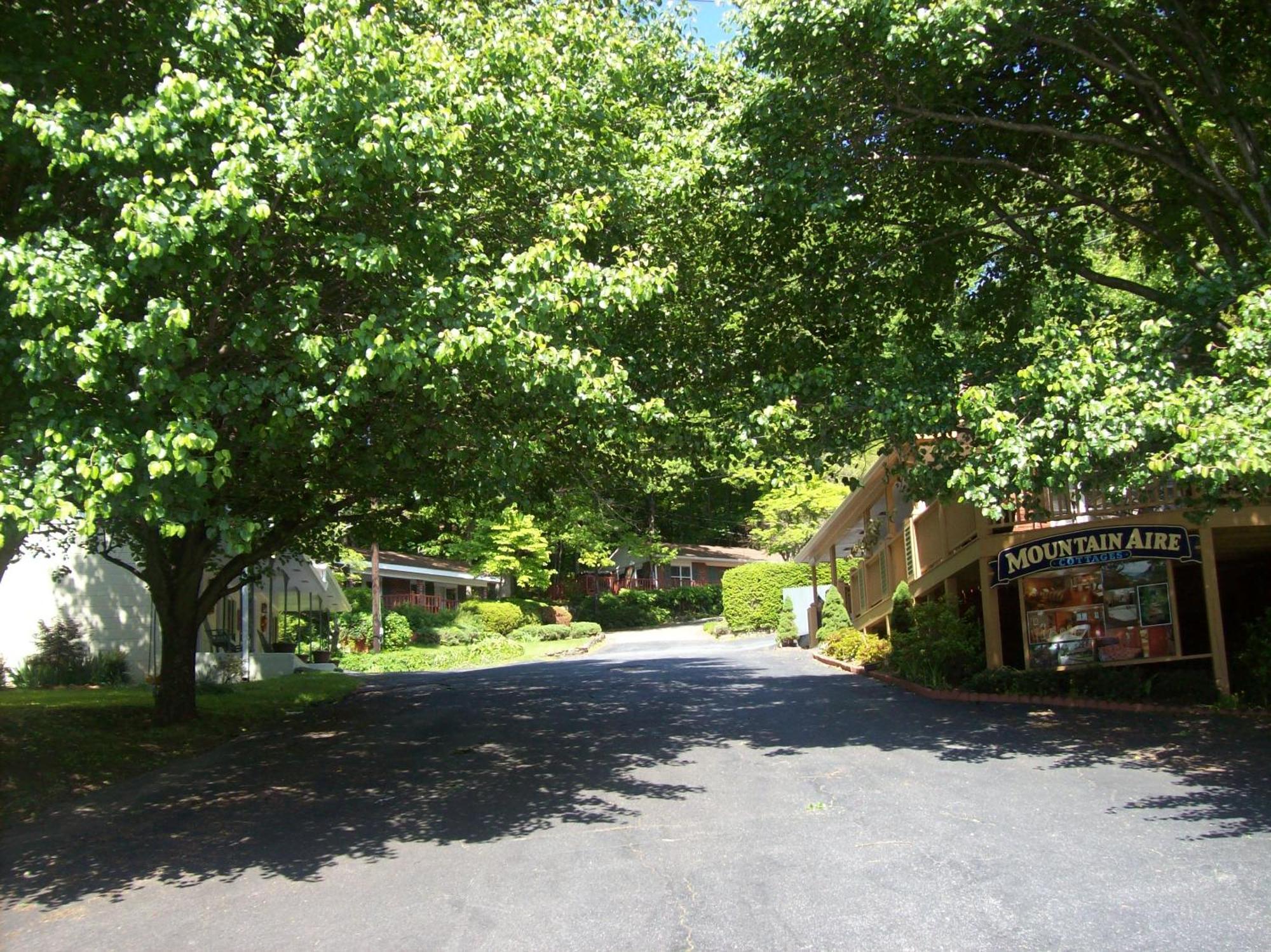 Two-Bedroom Cottage Garden View