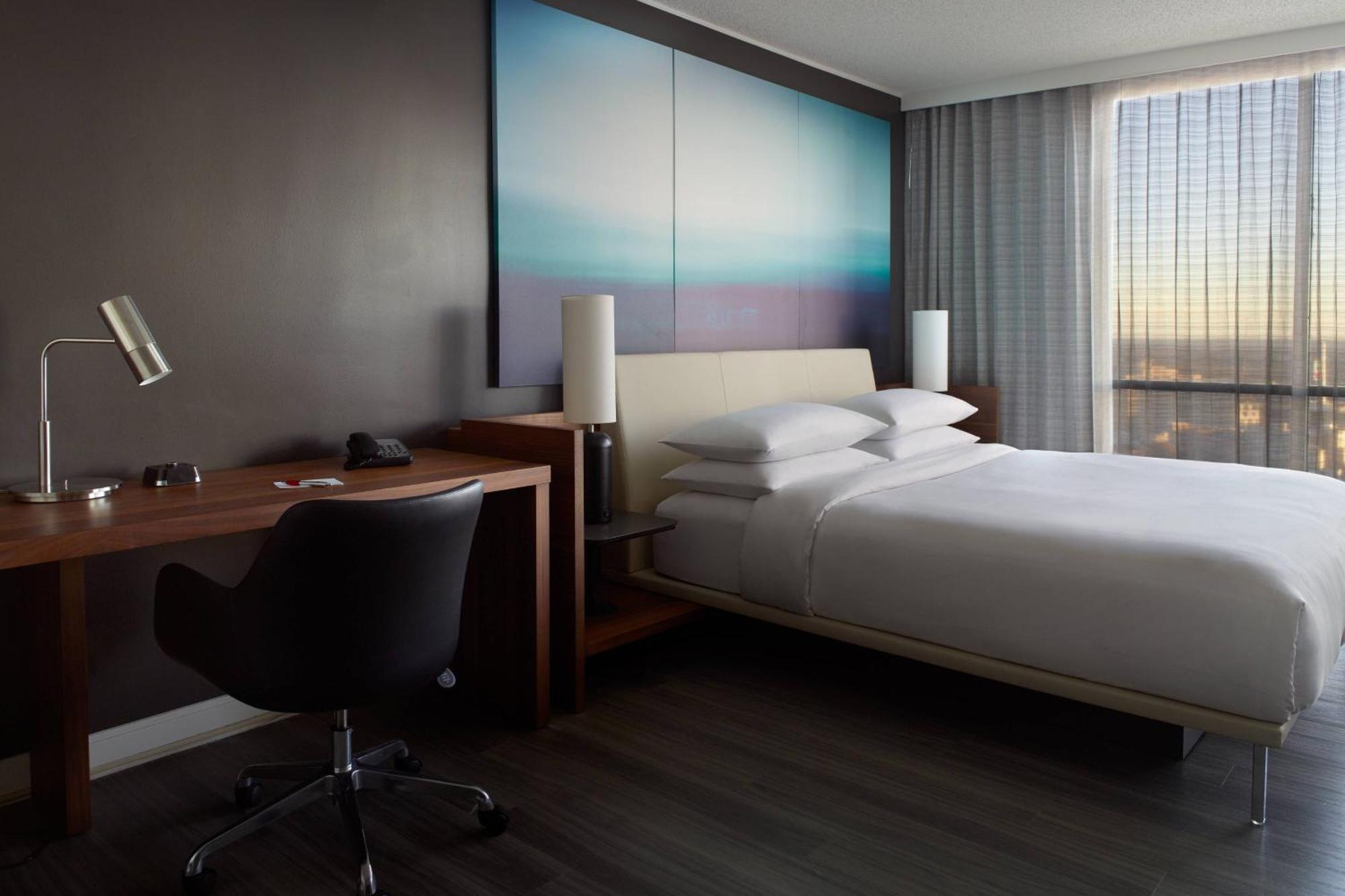 Suite Monolocale King