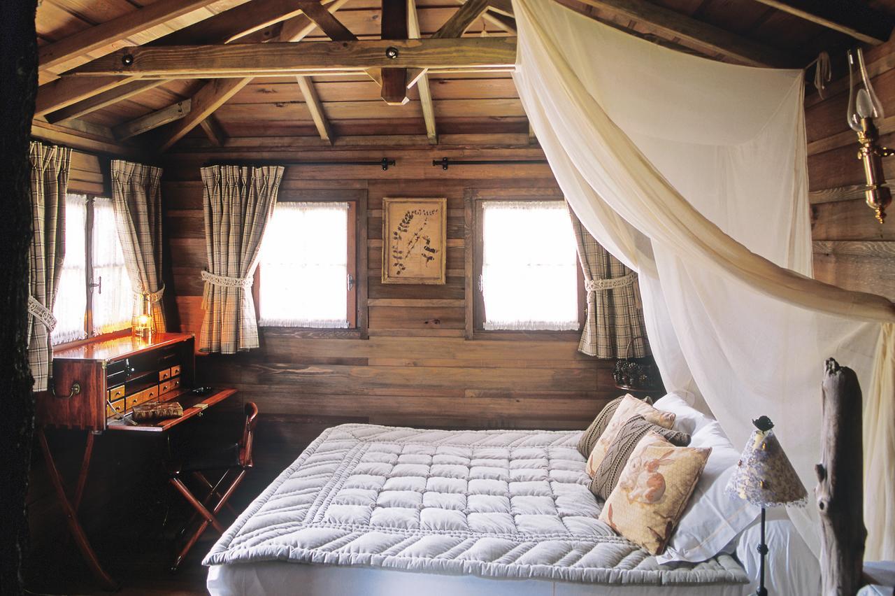 Tree House - Free Access to Spa and Private Beach