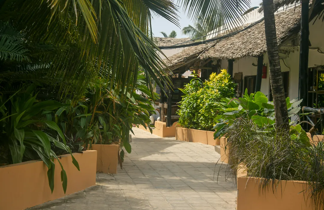 Amaan Beach Bungalows-1