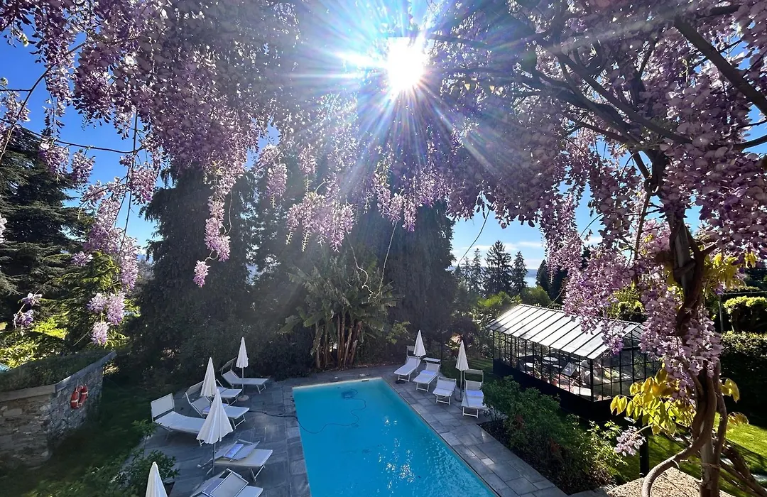 White Lilac Romantic B&B - Adults Only-1