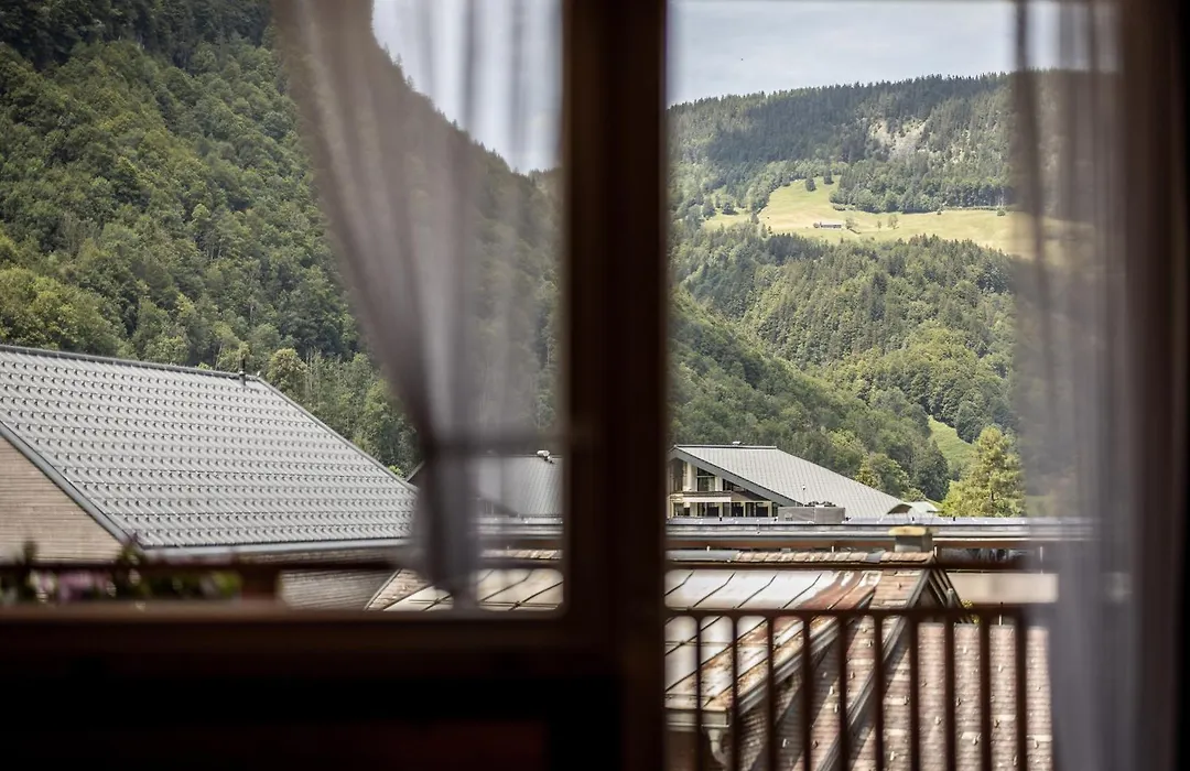 Hotel Engel-1