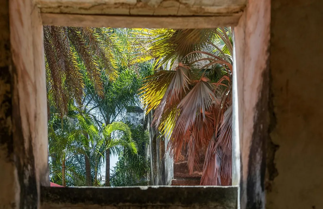 Mbweni Ruins & Gardens Previously Jungle Paradise-1
