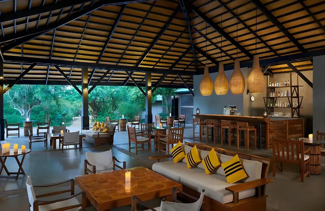 Cinnamon Wild Yala-1