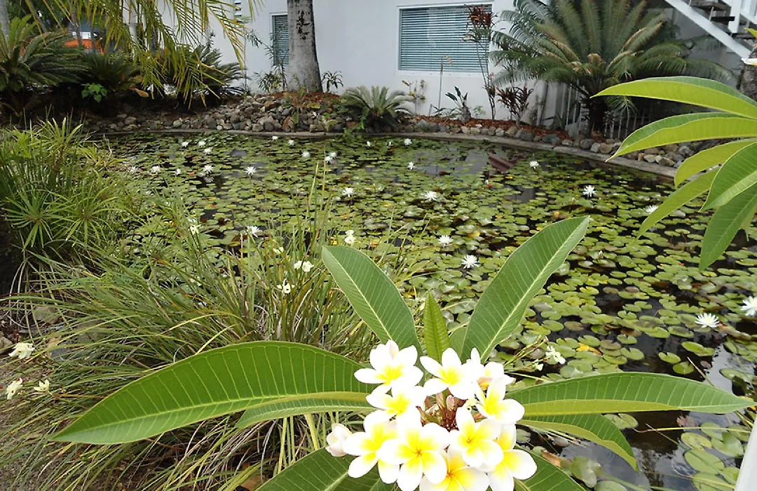 Mango House Resort-1