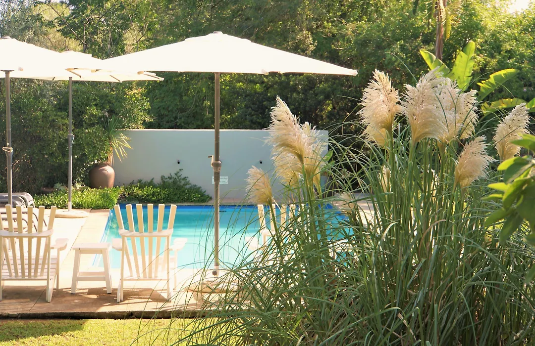Swellendam Country Lodge - Guest House - B&B-1
