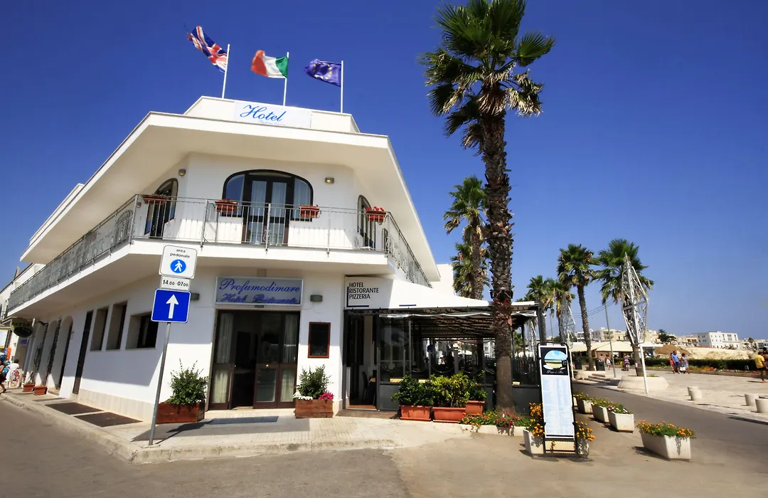 Hotel Profumo Di Mare-1