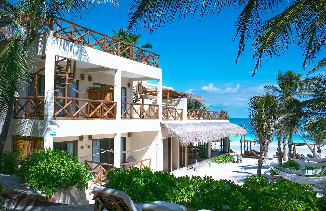 Dune Boutique Hotel Located At The Party Zone (Adults Only)-1
