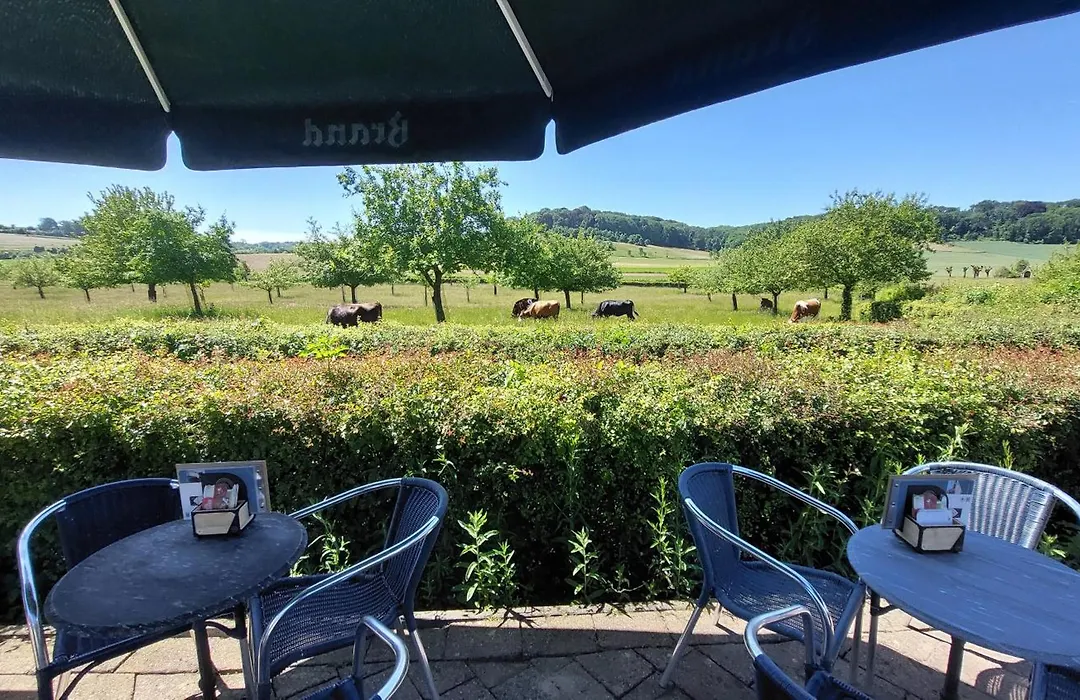Bed&Breakfast Hotel Het Gerendal-1