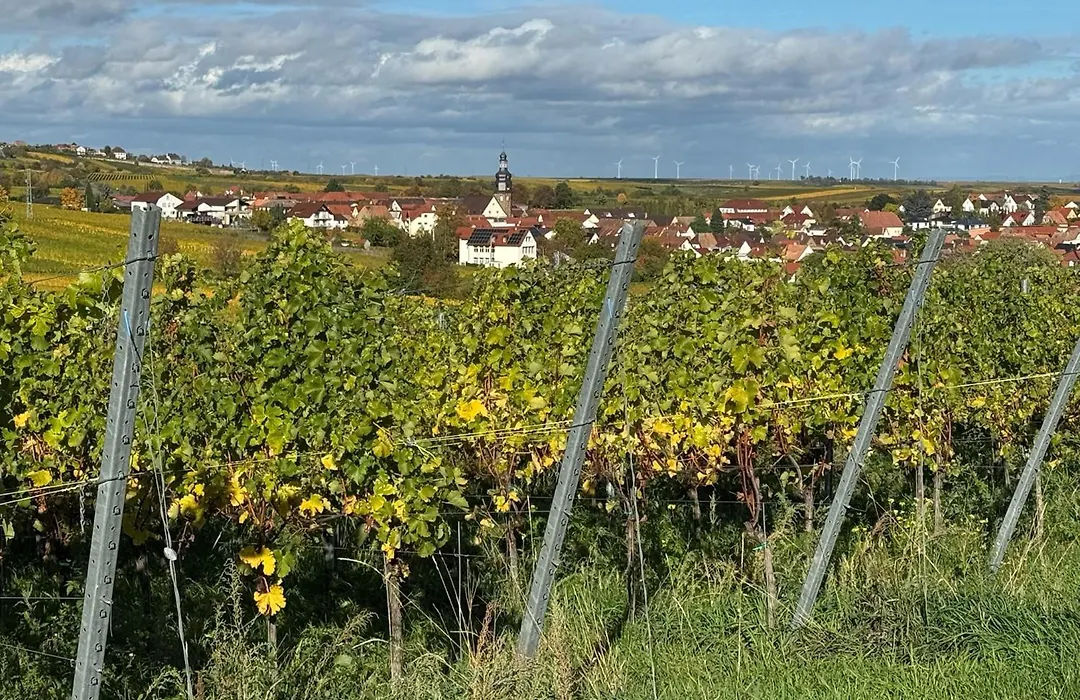 Die Alte Schmelz-1