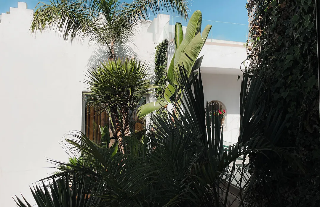 Riad Zyo-1