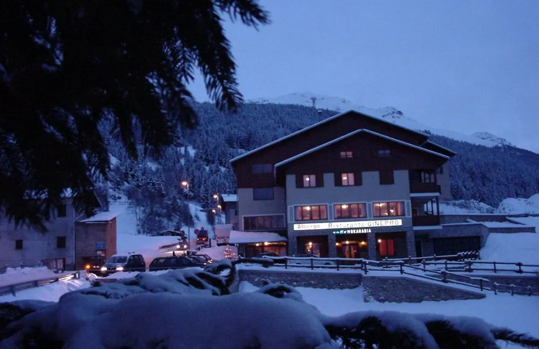 Hotel Gin-1