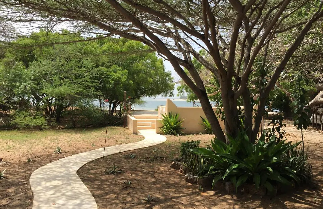 Mangrove House-1