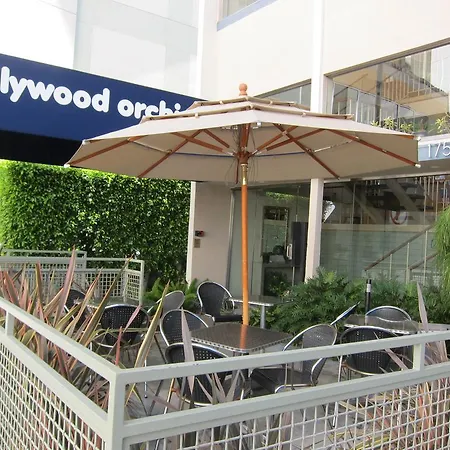 Hollywood Orchid Suites-3
