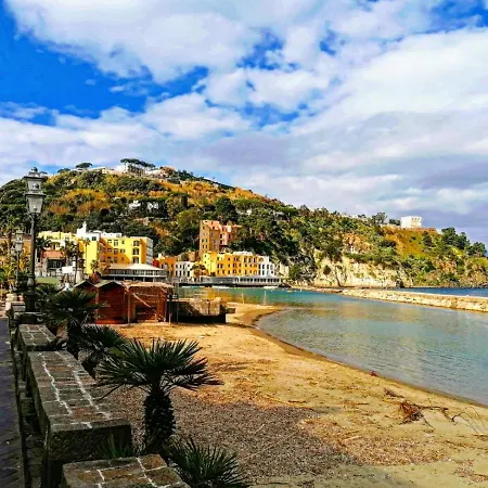 Il Fungo di Lacco-3