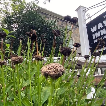 Wayside Inn Bed And Breakfast-3