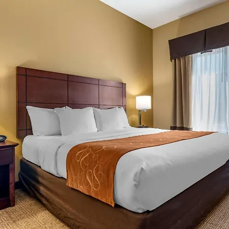Comfort Suites Airport South-3