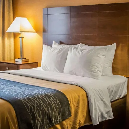 Quality Inn & Suites Port Huron-3