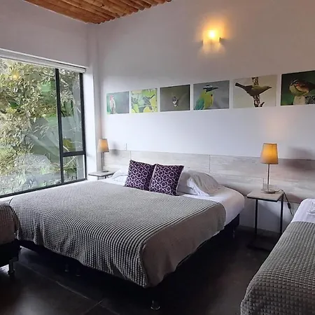 Hotel Termales Tierra Viva-3