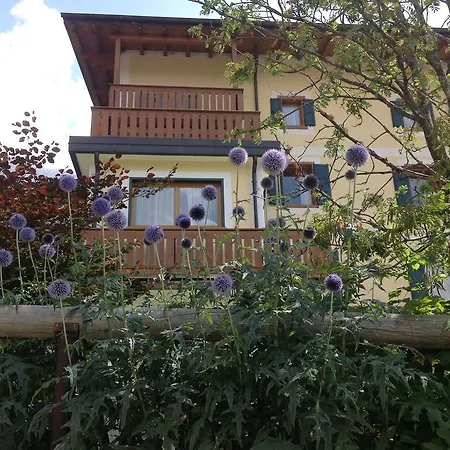 Hotel Jolanda-2