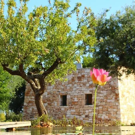 Il Fiore della Vita Trulli Country house-2