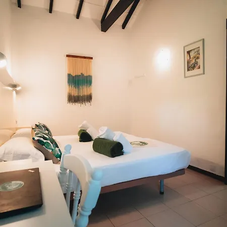 Cactus Coliving-3