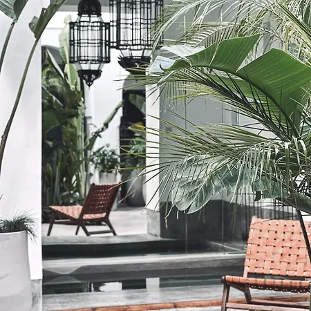 Riad Atay-3