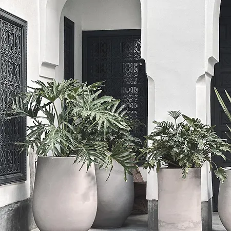 Riad Atay-2