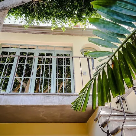 Casa Florida-3