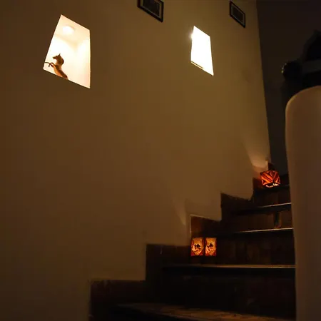 Riad Al Faras-2