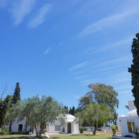 Si Brahim Studio Piscine, Sidi Bou Said-3