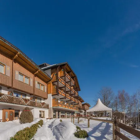 Ferienalm Panorama Apartments-2