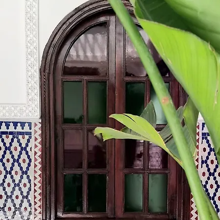 Riad Yakimour-3