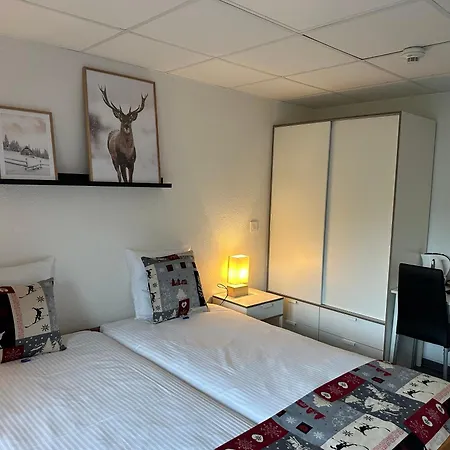 Chalet Montriond - Bike & Ski-3
