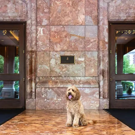 The Ritz-Carlton, St. Louis-3