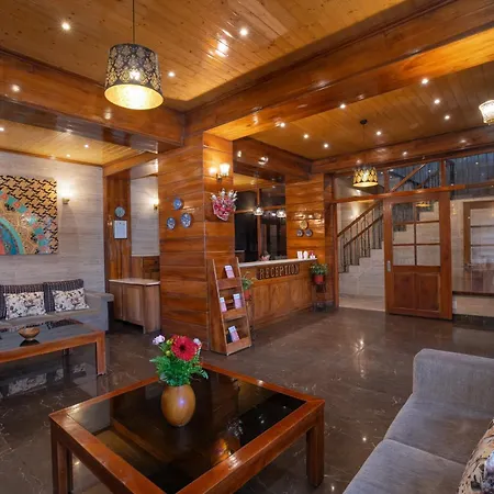 Summit Alpine Abode Hotel 5 Mins From Mg Marg-2