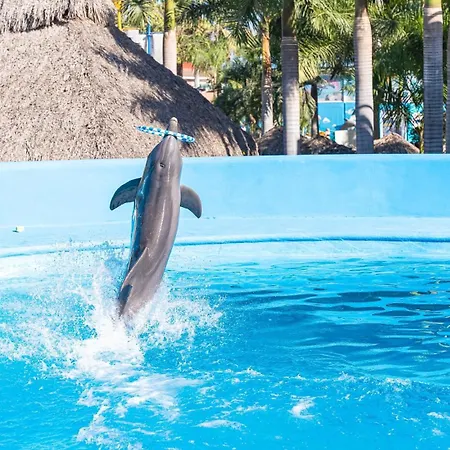 Splash Inn Nuevo Vallarta&Parque Acuatico-3
