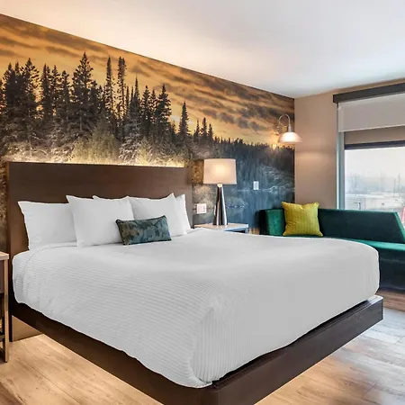 Cambria Hotel Shelby Township - Detroit Utica-3