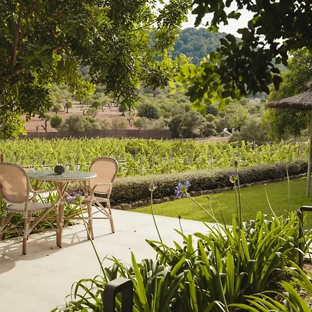 Rondaia, A Winery & Fincahotel-Agroturismo In Tramuntana-3