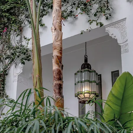 Riad Jaaneman-2