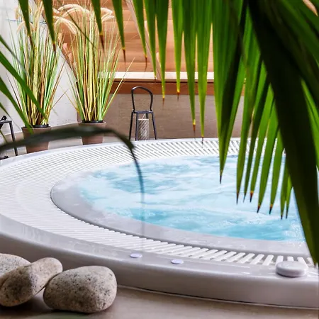 Best Western Les Bains Hotel Et Spa-2