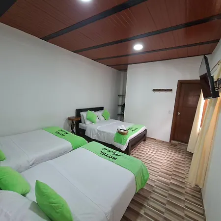 Hotel Malaki-2