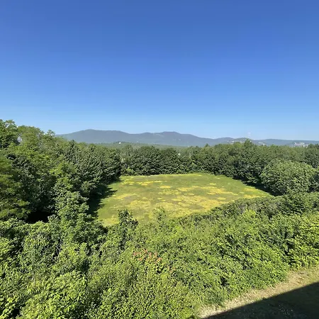 North Conway Mountain Inn-3