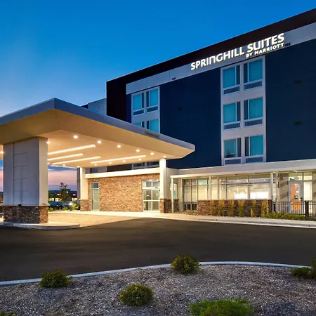 Springhill Suites By Marriott Holland-2